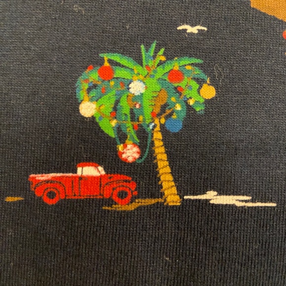 - DENIUM & FLOWER RICKY SINGH CHRISTMAS HOODIE Large - Picture 8 of 12